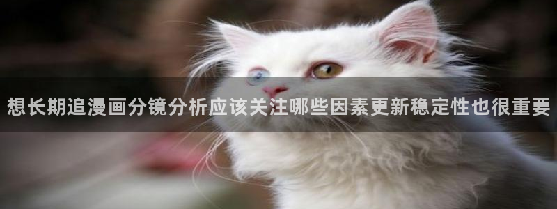 漫蛙漫画古风漫画:想长期追漫画分镜分析应该关注哪些因素更新稳定性也很重要