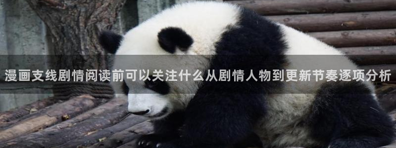 漫蛙漫画好漫画推荐:漫画支线剧情阅读前可以关注什么从剧情人物到更新节奏逐项分析